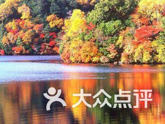 大学生夜晚爬火车拍照被电击烧伤,野生“网红打卡攻略”真的该清理了